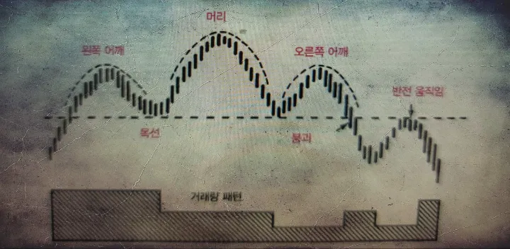 헤드앤드숄더