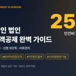 개발자 1인 법인 R&D 세액공제 — 인건비 25% 환급 표지