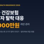 개발자 건강보험 피부양자 탈락 기준과 소득 2000만원 라인 대응